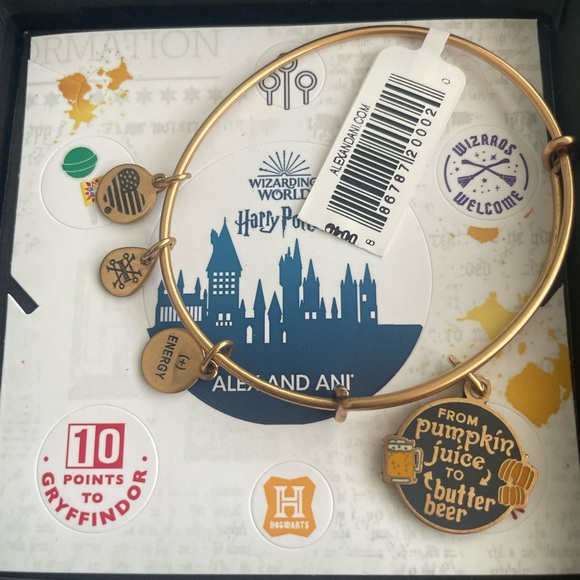 ⚡️ NWT Alex and Ani Harry Potter™ From Pumpkin Juice To Butter Beer Charm Bangle - Picture 1 of 9